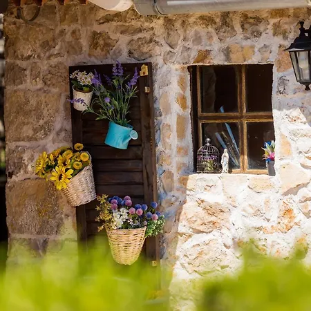 Villa Rosko *